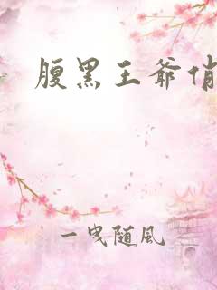 腹黑王爷俏医妃