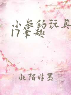 小米的玩具日记17笔趣