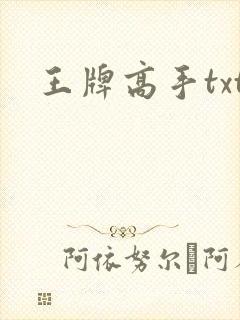 王牌高手txt