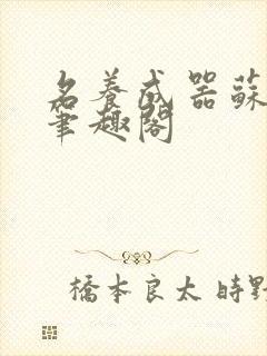 名养成器苏沫沫笔趣阁