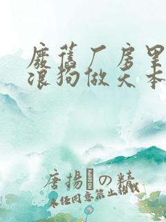 废旧厂房里和流浪狗做天本