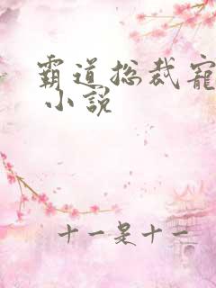 霸道总裁宠上天 小说