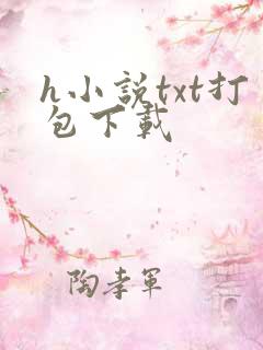 h小说txt打包下载