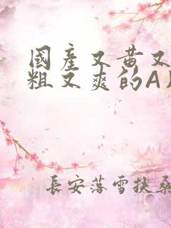 国产又黄又猛又粗又爽的A片小说