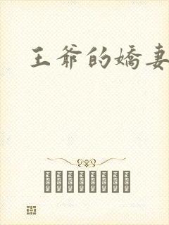 王爷的娇妻