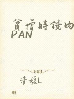 贫僧时镜肉补全PAN