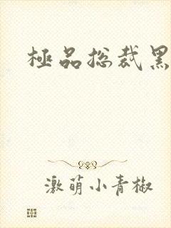 极品总裁黑道妻