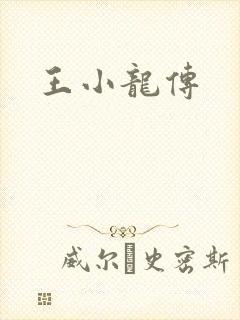 王小龙传