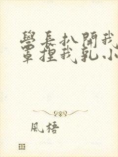 学长扒开我的乳罩捏我乳小说