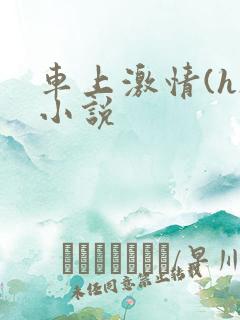 车上激情(h)小说