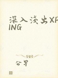 深入浅出XPYING