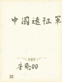 中国远征军小说