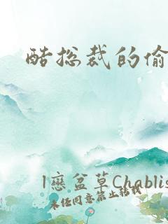 酷总裁的偷孕妻