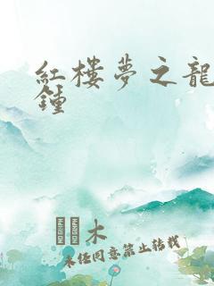 红楼梦之龙套秦钟