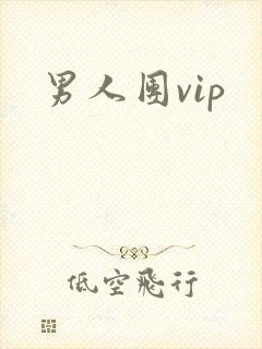 男人团vip