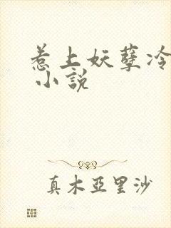 惹上妖孽冷殿下 小说