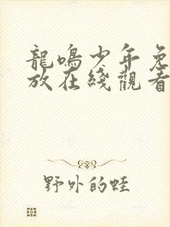 龙鸣少年免费播放在线观看