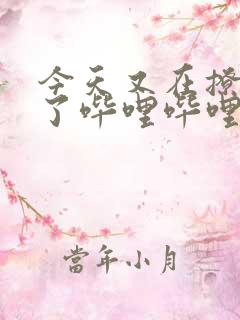 今天又在撩后妈了哔哩哔哩小说