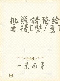 批照错发给情敌之后[双/产]