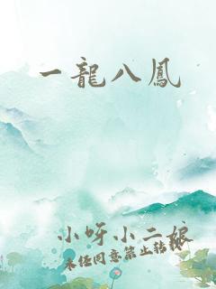 一龙八凤