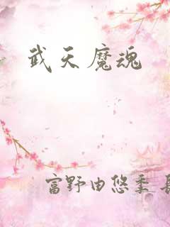 武天魔魂