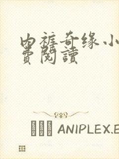 内裤奇缘小说免费阅读