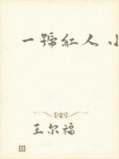 一号红人 小说
