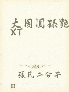 大团圆孙艳梅TXT