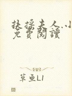 扶摇夫人.小说免费阅读