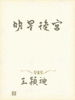 明星后宫