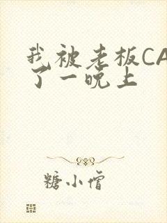 我被老板CAO了一晚上