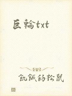 巨轮txt