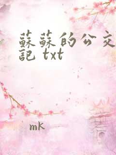 苏苏的公交车日记 txt