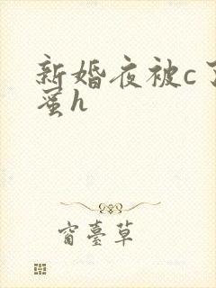 新婚夜被c了闺蜜h