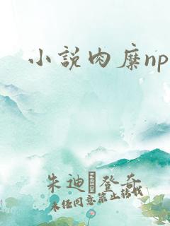 小说肉糜np