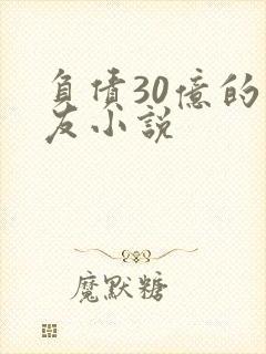 负债30亿的男友小说