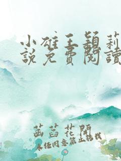 小雄王颖莉的小说免费阅读全文