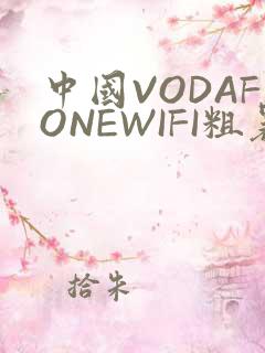 中国VODAFONEWIFI粗暴APP