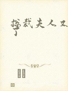 总裁夫人又征婚了