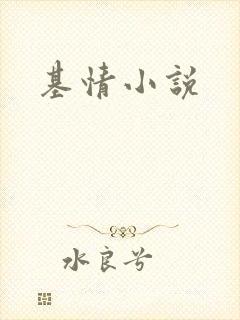 基情小说