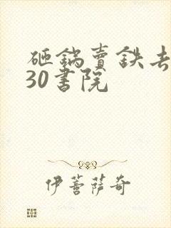 砸锅卖铁去上学30书院