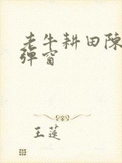 老牛耕田陈雪无弹窗