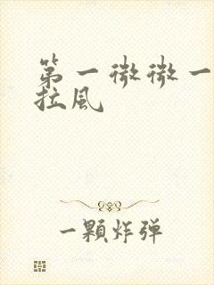 第一微微一笑很拉风