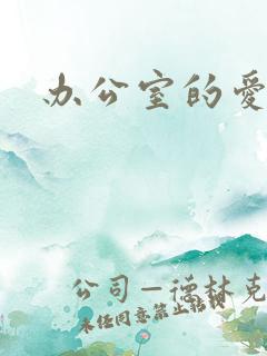 办公室的爱与恨