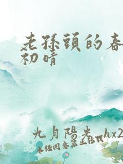 老孙头的春天林初晴