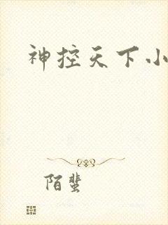 神控天下小说
