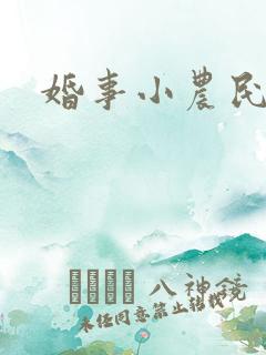 婚事小农民