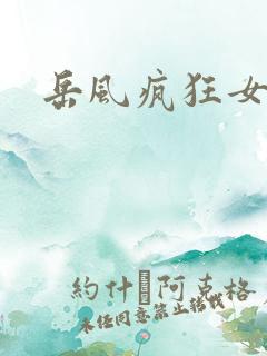 岳风疯狂女婿