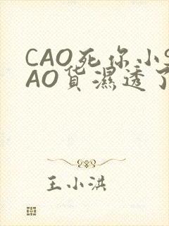 CAO死你小SAO货湿透了学长