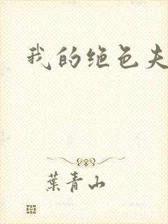 我的绝色夫君们